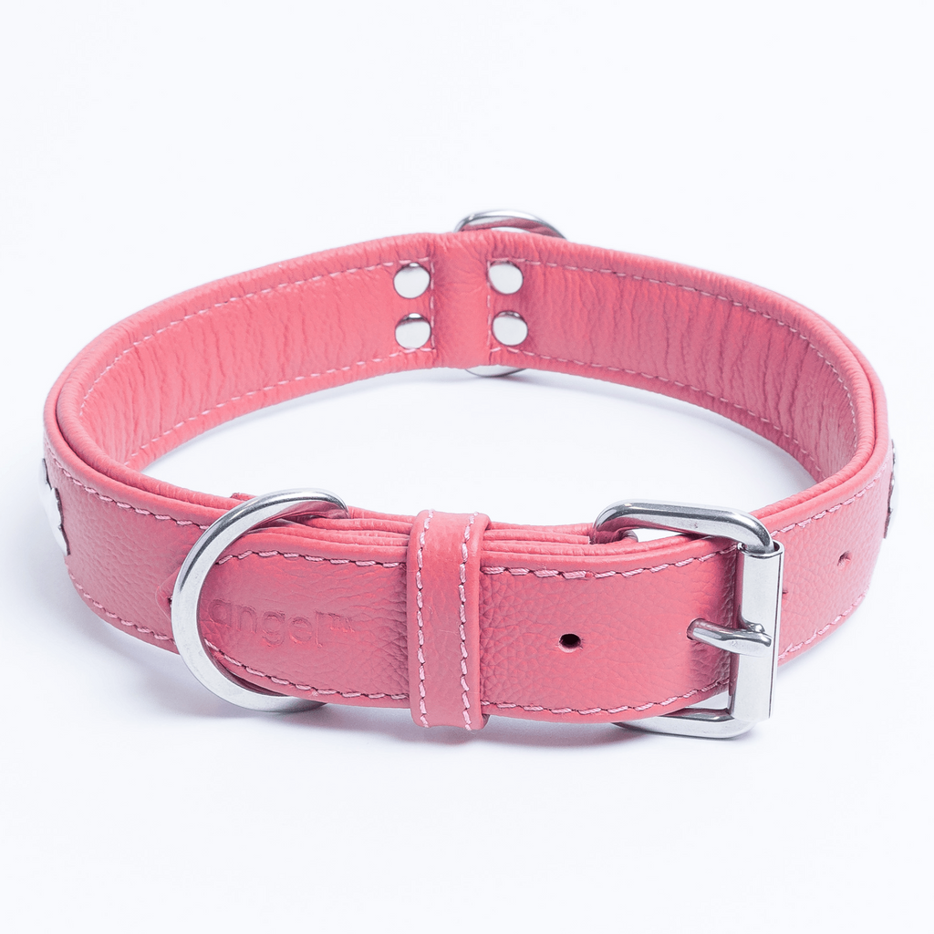 Glamorous Pups : Rotterdam Bones Leather Dog Collar – Classic Genuine Leather Collar with Metal Bone Accents & Center D-Ring for Style and Control
