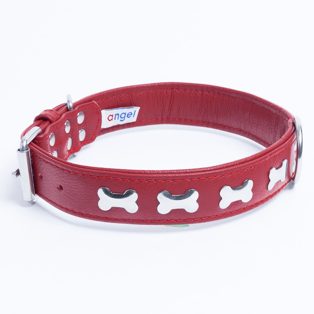 Glamorous Pups : Rotterdam Bones Leather Dog Collar – Classic Genuine Leather Collar with Metal Bone Accents & Center D-Ring for Style and Control
