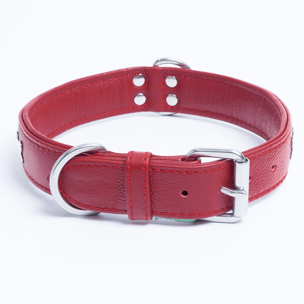 Glamorous Pups : Rotterdam Bones Leather Dog Collar – Classic Genuine Leather Collar with Metal Bone Accents & Center D-Ring for Style and Control