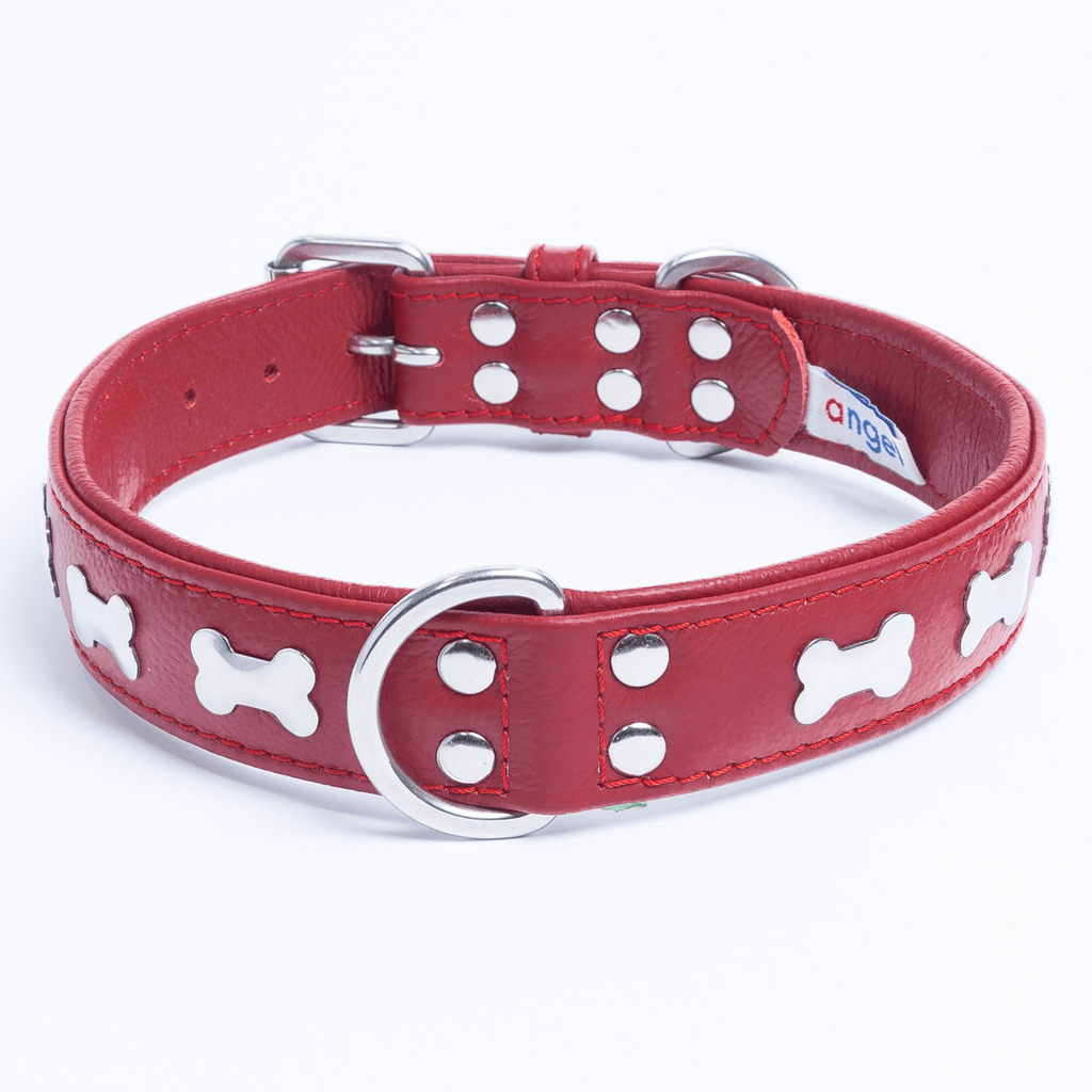 Glamorous Pups : Rotterdam Bones Leather Dog Collar – Classic Genuine Leather Collar with Metal Bone Accents & Center D-Ring for Style and Control