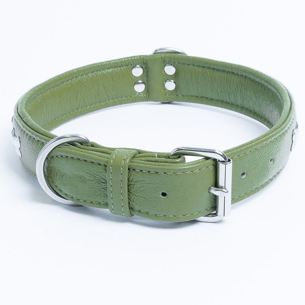 Glamorous Pups : Rotterdam Bones Leather Dog Collar – Classic Genuine Leather Collar with Metal Bone Accents & Center D-Ring for Style and Control