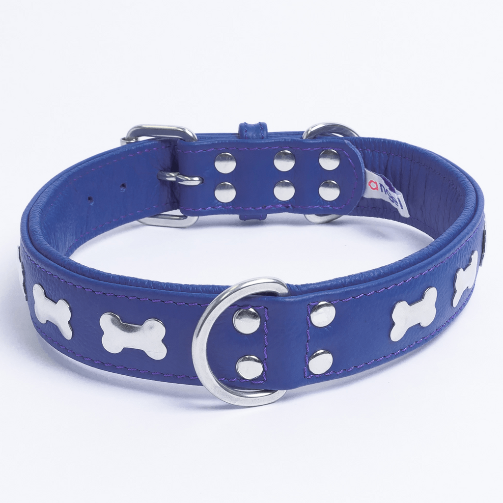 Glamorous Pups : Rotterdam Bones Leather Dog Collar – Classic Genuine Leather Collar with Metal Bone Accents & Center D-Ring for Style and Control