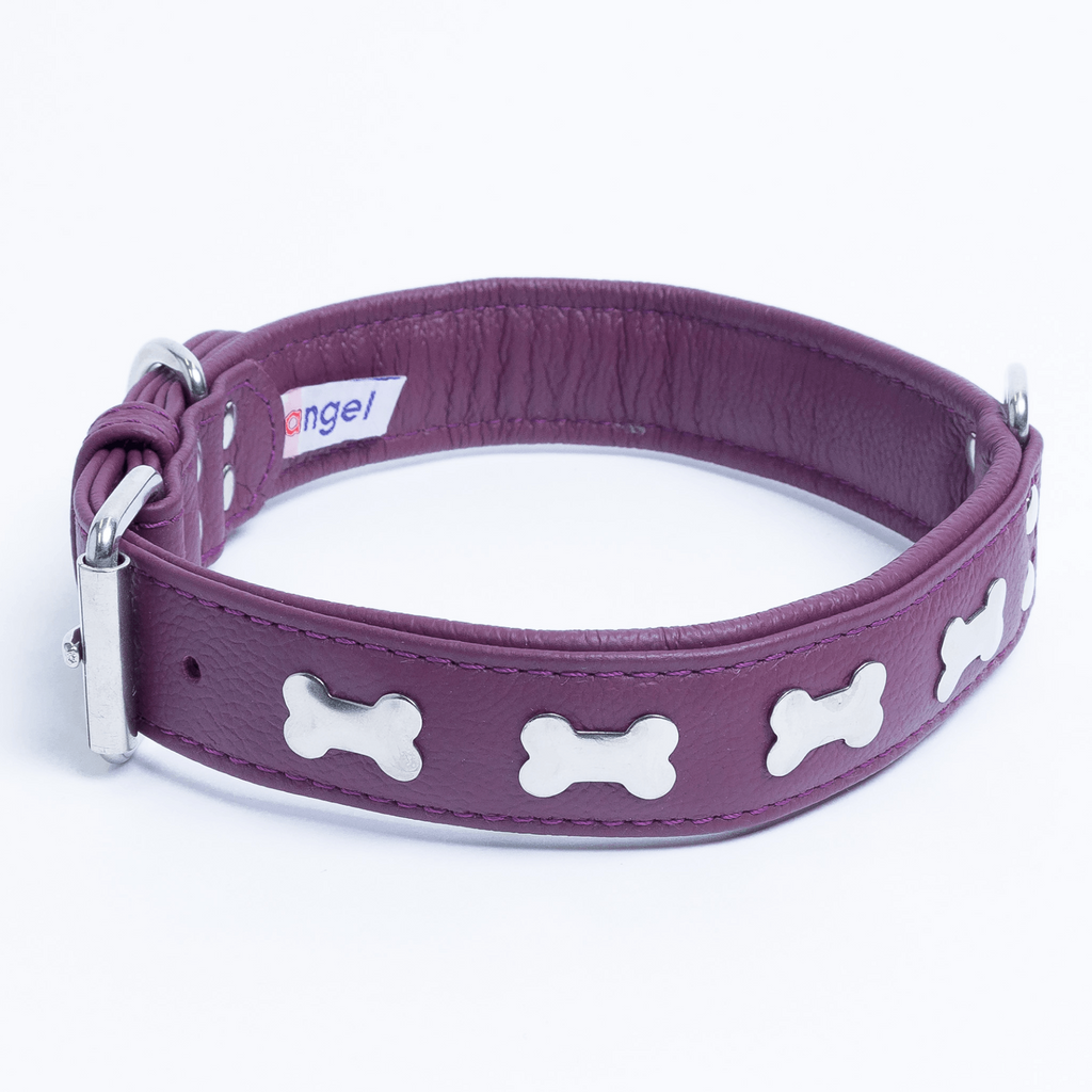 Glamorous Pups : Rotterdam Bones Leather Dog Collar – Classic Genuine Leather Collar with Metal Bone Accents & Center D-Ring for Style and Control