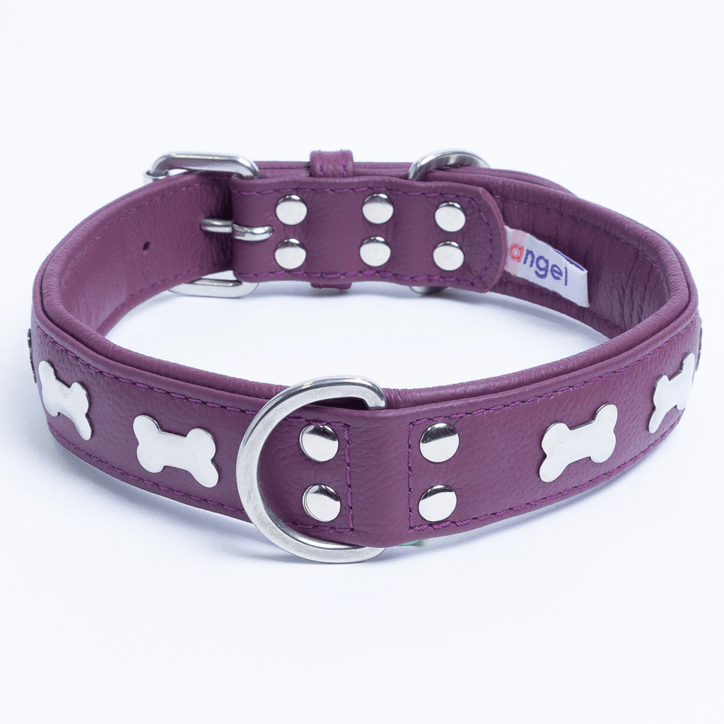 Glamorous Pups : Rotterdam Bones Leather Dog Collar – Classic Genuine Leather Collar with Metal Bone Accents & Center D-Ring for Style and Control