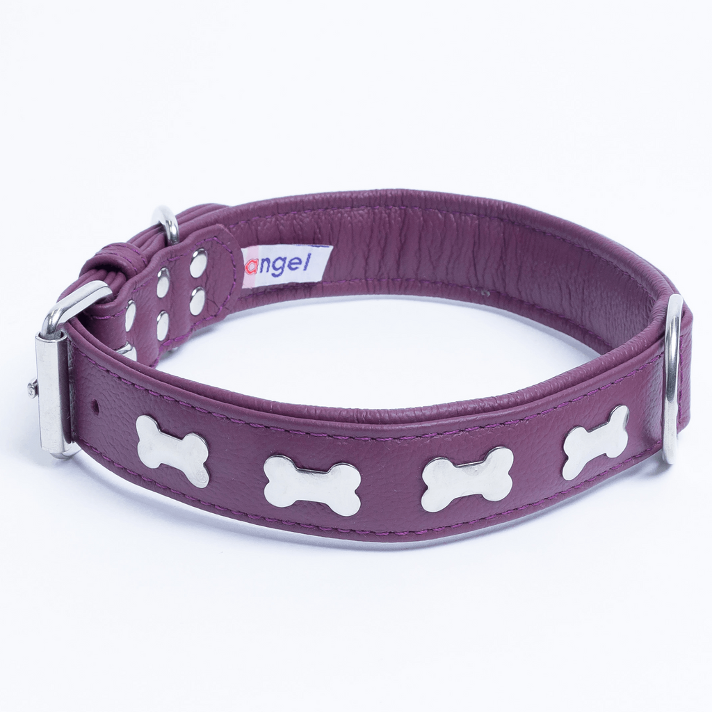 Glamorous Pups : Rotterdam Bones Leather Dog Collar – Classic Genuine Leather Collar with Metal Bone Accents & Center D-Ring for Style and Control