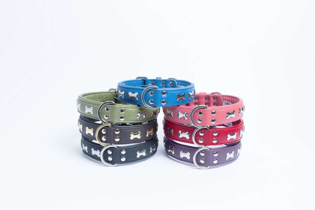 Glamorous Pups : Rotterdam Bones Leather Dog Collar – Classic Genuine Leather Collar with Metal Bone Accents & Center D-Ring for Style and Control