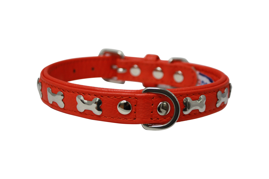 Glamorous Pups : Rotterdam Bones Leather Dog Collar – Classic Genuine Leather Collar with Metal Bone Accents & Center D-Ring for Style and Control