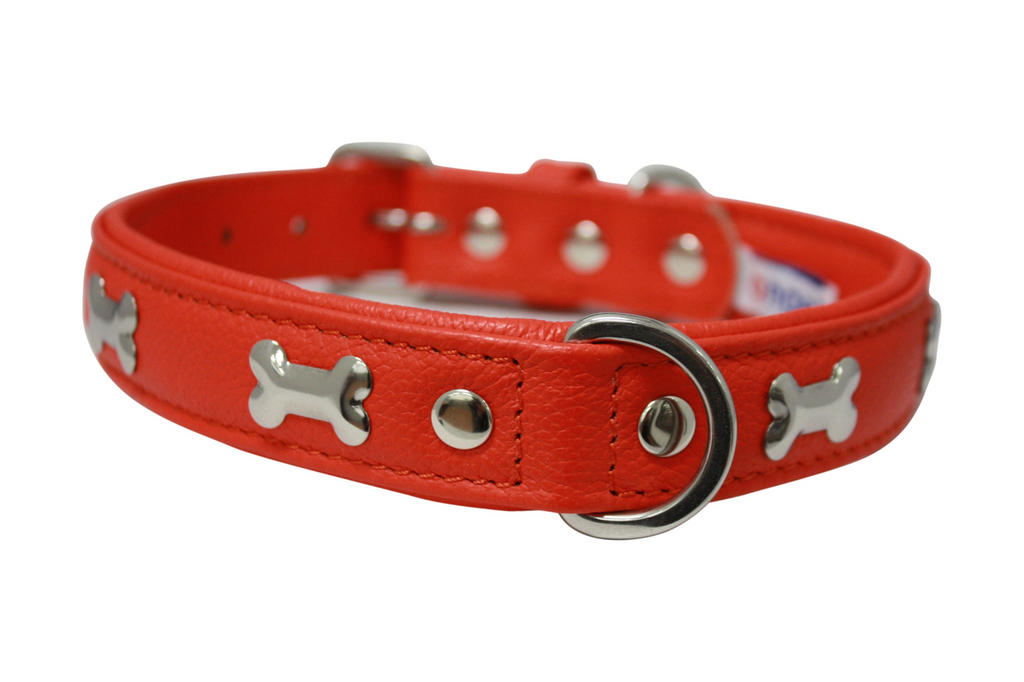 Glamorous Pups : Rotterdam Bones Leather Dog Collar – Classic Genuine Leather Collar with Metal Bone Accents & Center D-Ring for Style and Control