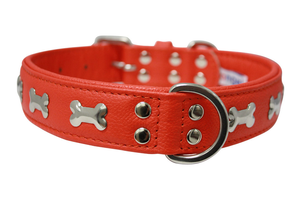 Glamorous Pups : Rotterdam Bones Leather Dog Collar – Classic Genuine Leather Collar with Metal Bone Accents & Center D-Ring for Style and Control