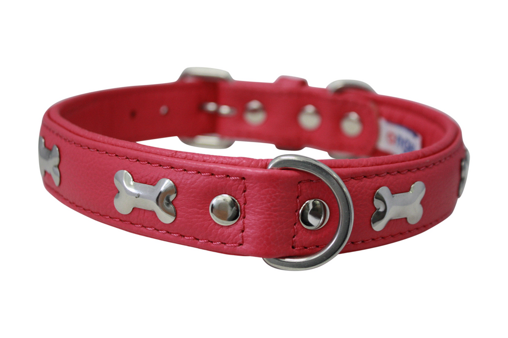 Glamorous Pups : Rotterdam Bones Leather Dog Collar – Classic Genuine Leather Collar with Metal Bone Accents & Center D-Ring for Style and Control