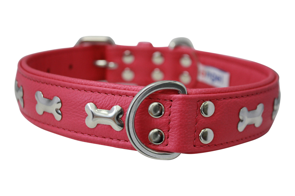 Glamorous Pups : Rotterdam Bones Leather Dog Collar – Classic Genuine Leather Collar with Metal Bone Accents & Center D-Ring for Style and Control