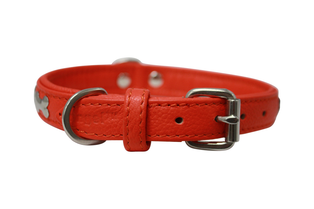 Glamorous Pups : Rotterdam Bones Leather Dog Collar – Classic Genuine Leather Collar with Metal Bone Accents & Center D-Ring for Style and Control