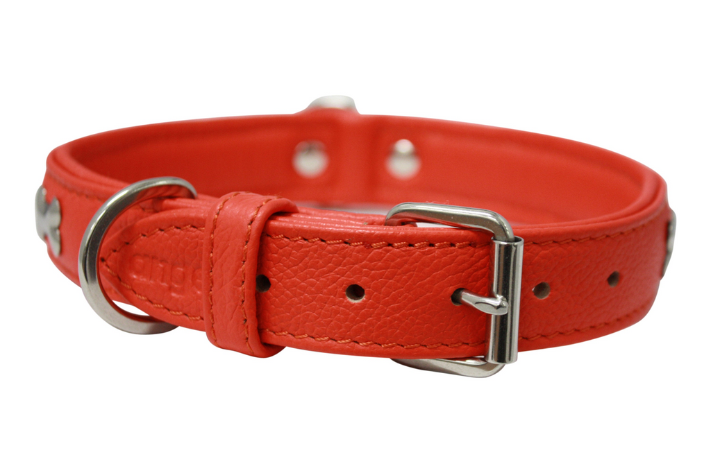 Glamorous Pups : Rotterdam Bones Leather Dog Collar – Classic Genuine Leather Collar with Metal Bone Accents & Center D-Ring for Style and Control