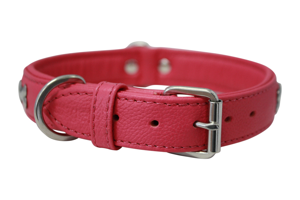 Glamorous Pups : Rotterdam Bones Leather Dog Collar – Classic Genuine Leather Collar with Metal Bone Accents & Center D-Ring for Style and Control