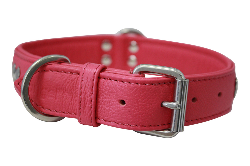 Glamorous Pups : Rotterdam Bones Leather Dog Collar – Classic Genuine Leather Collar with Metal Bone Accents & Center D-Ring for Style and Control