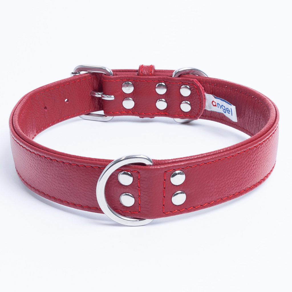 Glamorous Pups : Alpine Collar