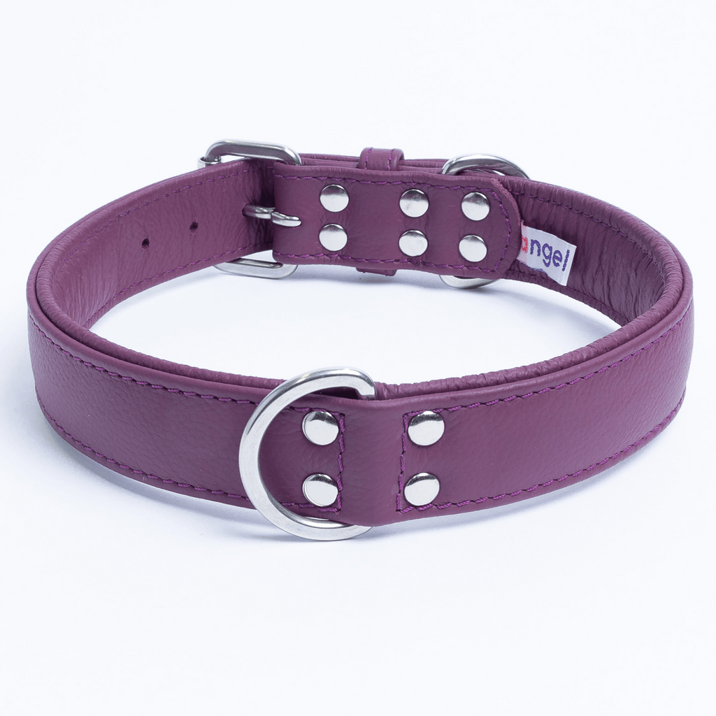 Glamorous Pups : Alpine Collar