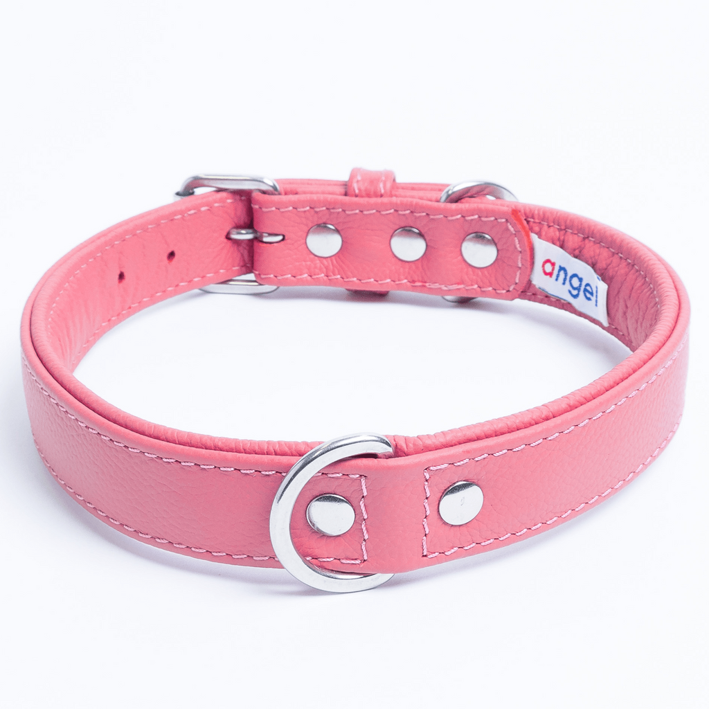 Glamorous Pups : Alpine Collar