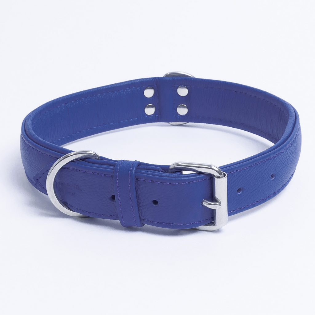 Glamorous Pups : Alpine Collar