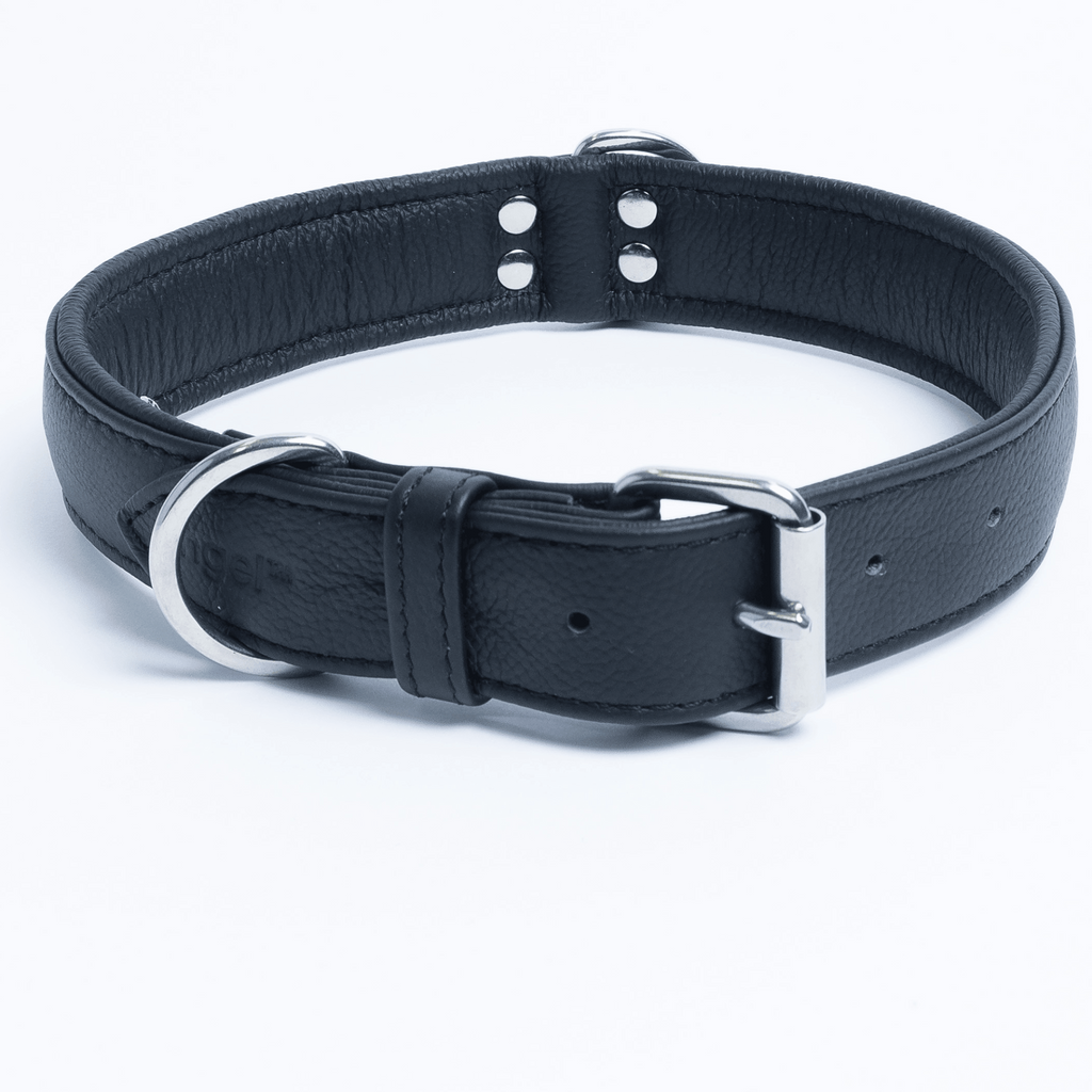 Glamorous Pups : Alpine Collar