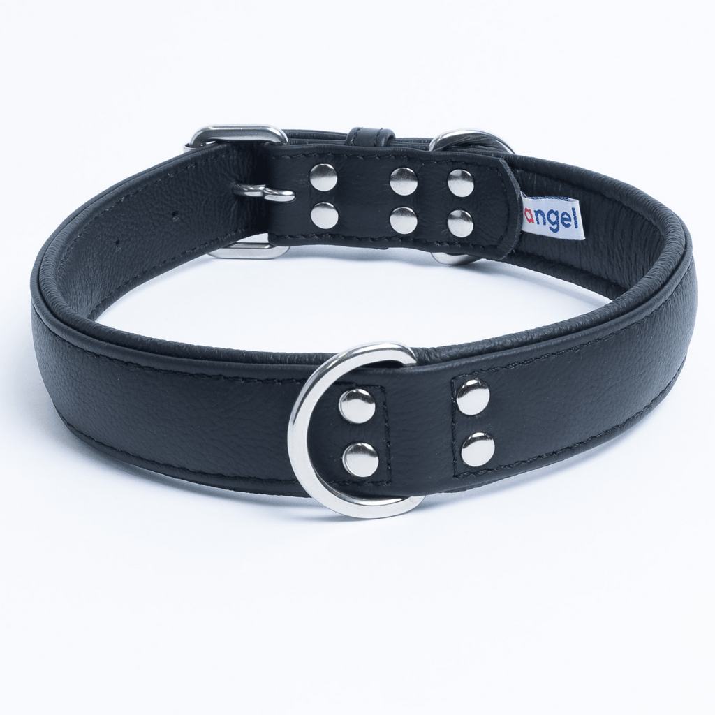 Glamorous Pups : Alpine Collar