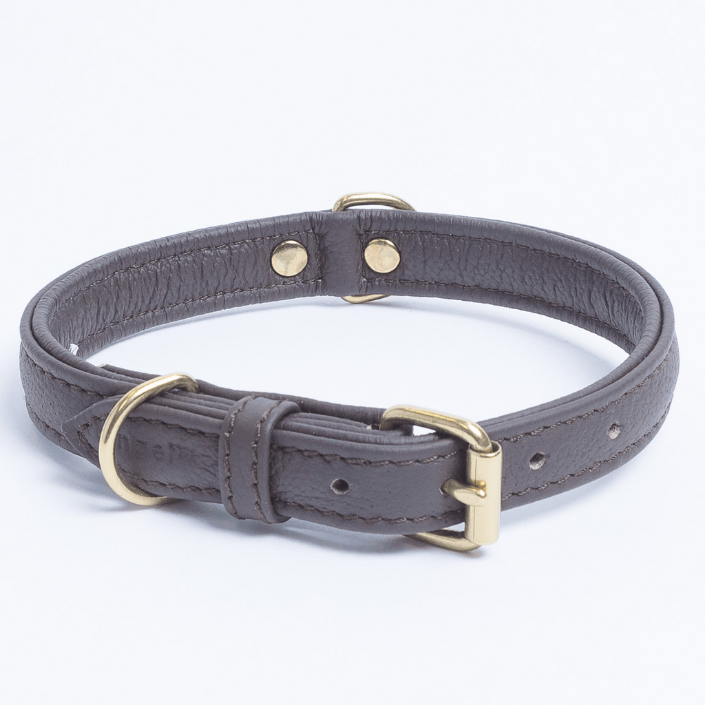 Glamorous Pups : Alpine Collar