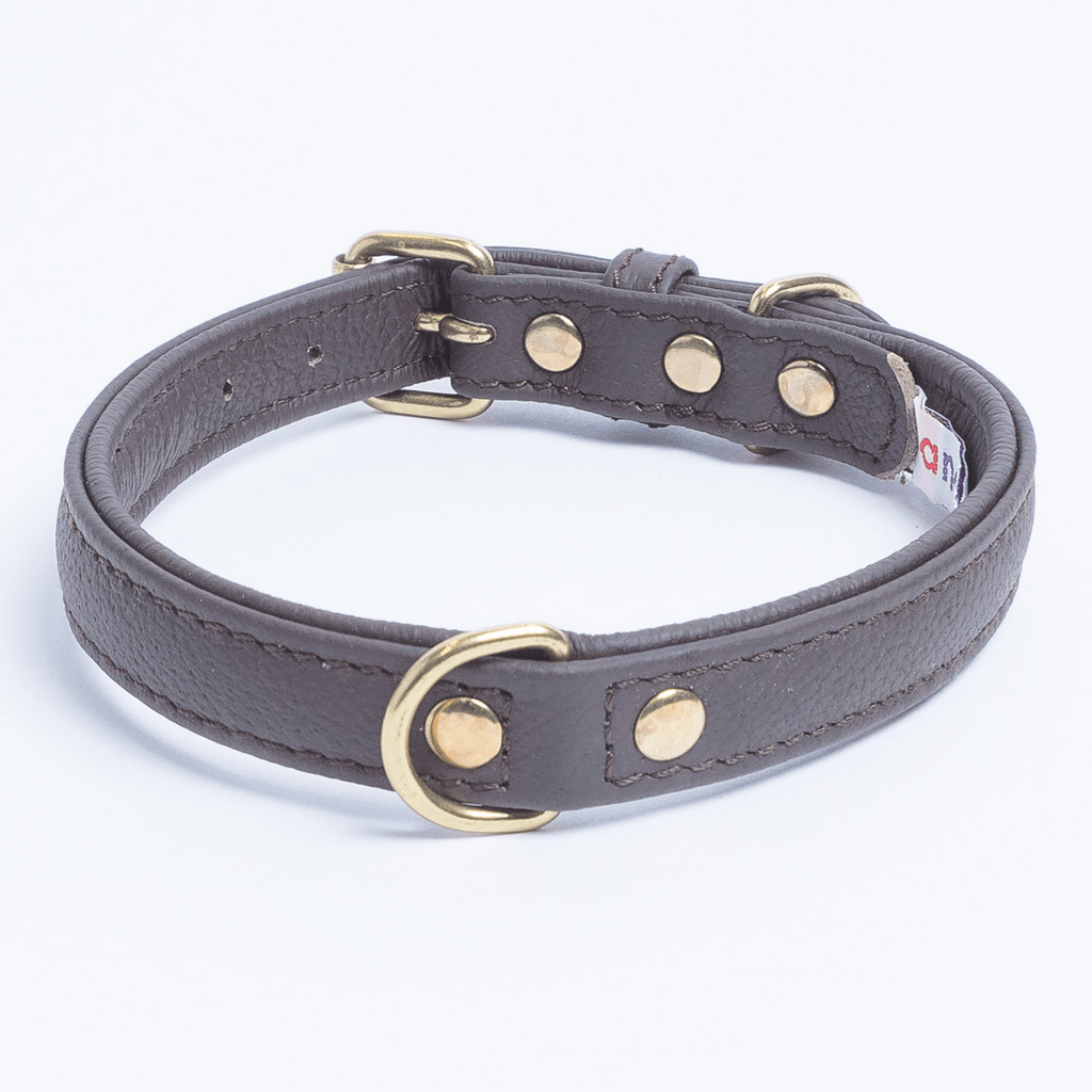 Glamorous Pups : Alpine Collar