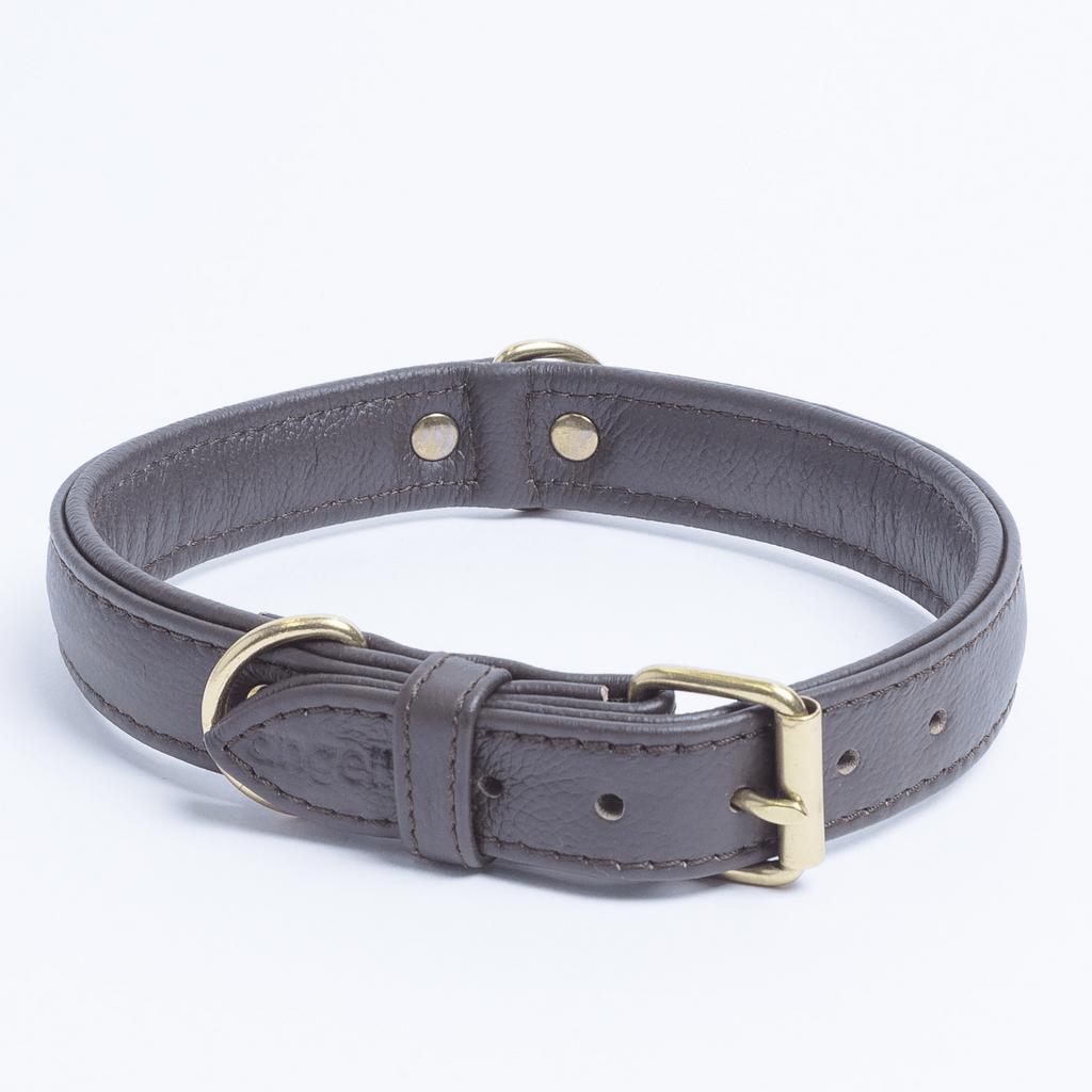 Glamorous Pups : Alpine Collar