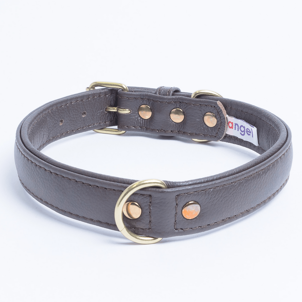 Glamorous Pups : Alpine Collar