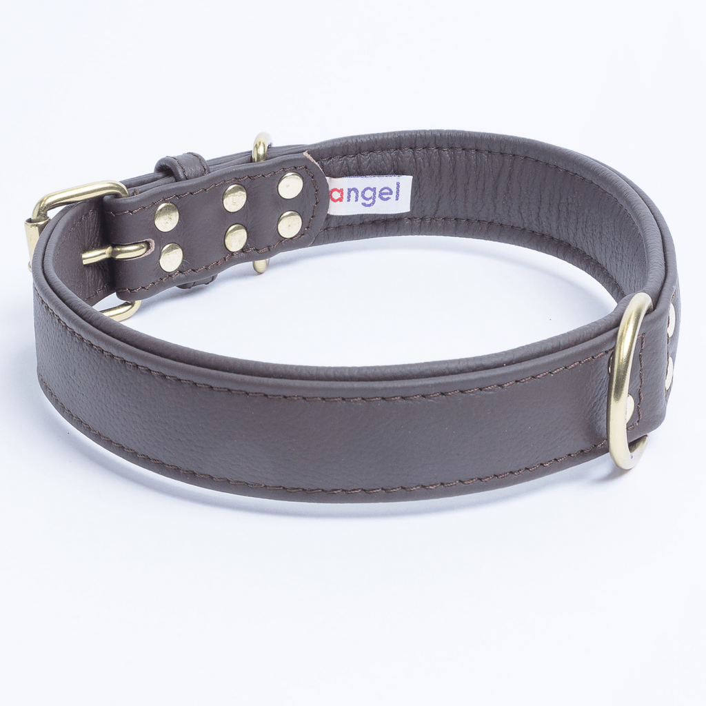 Glamorous Pups : Alpine Collar