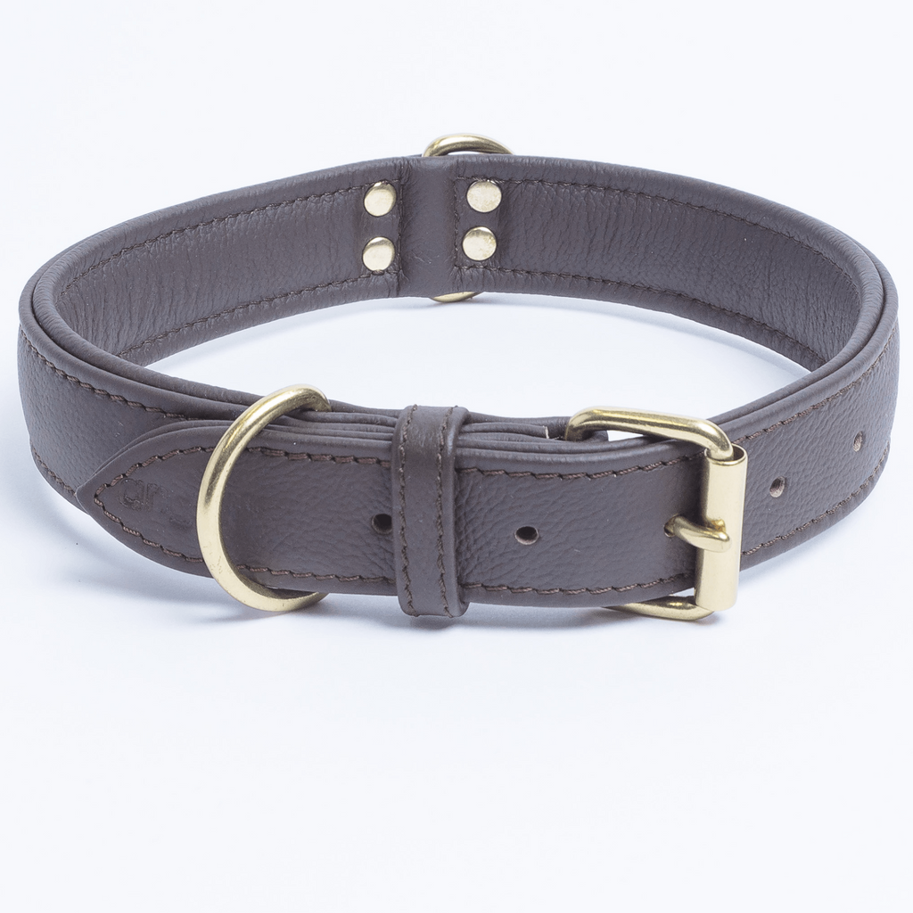 Glamorous Pups : Alpine Collar