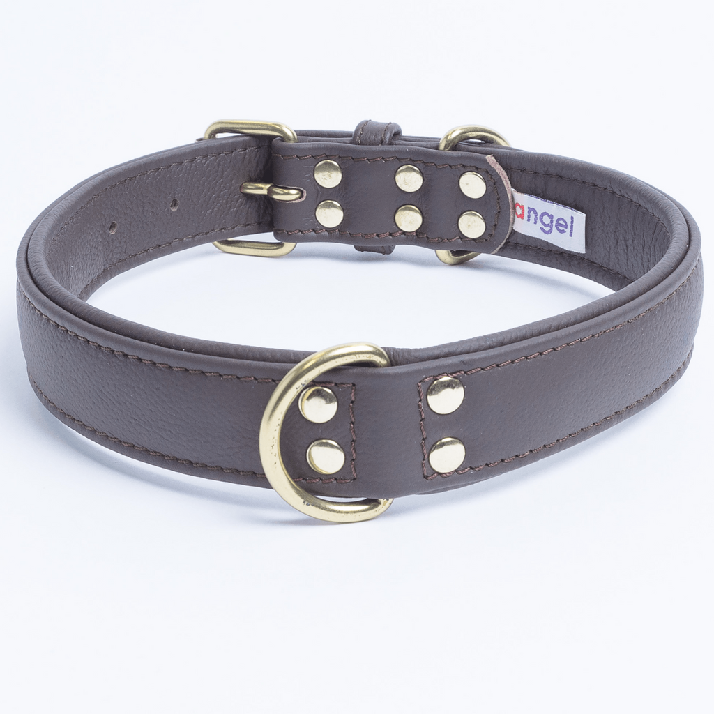 Glamorous Pups : Alpine Collar