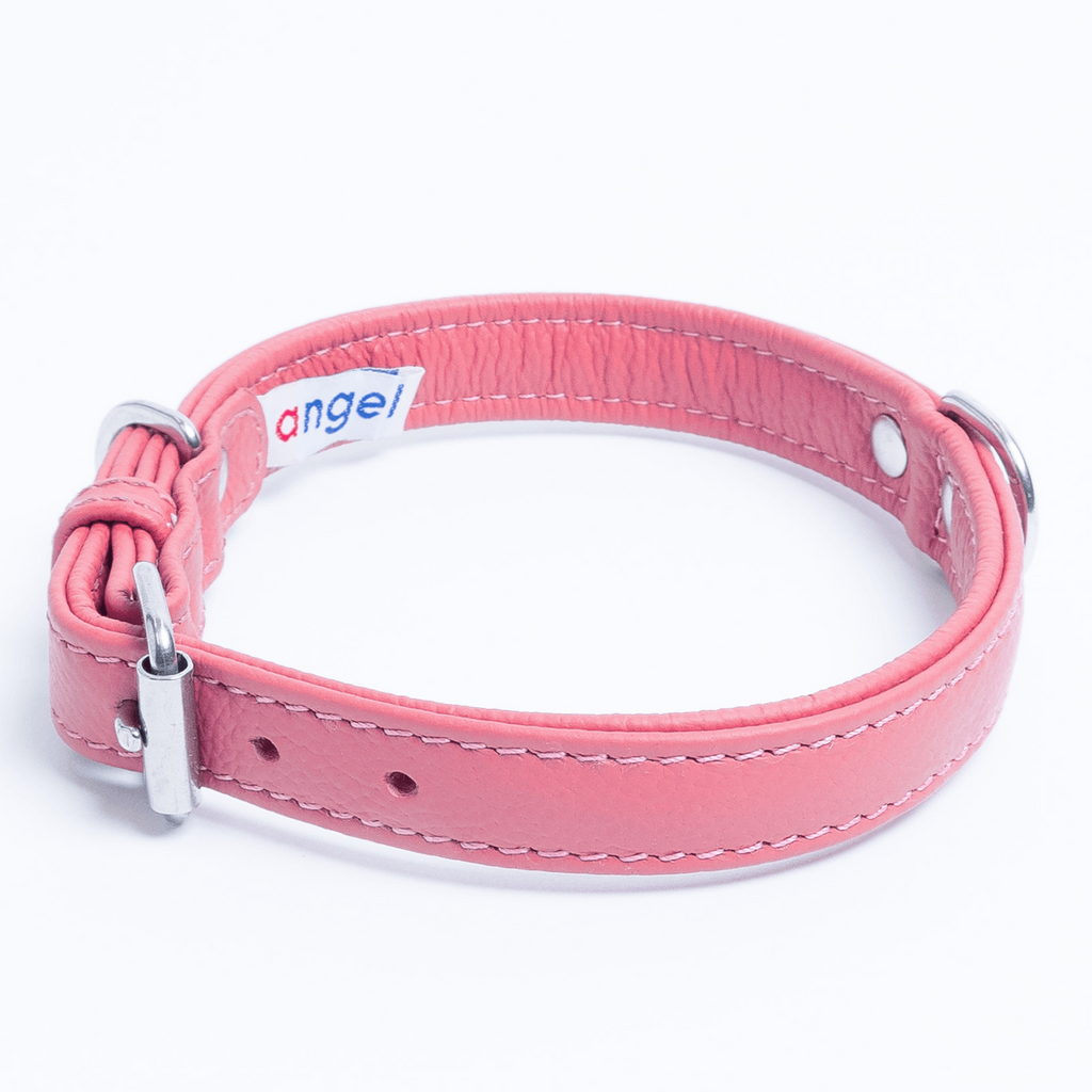 Glamorous Pups : Alpine Collar