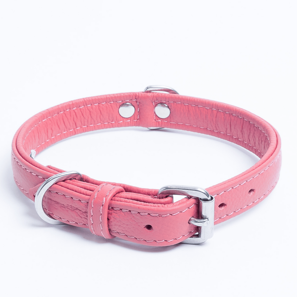 Glamorous Pups : Alpine Collar