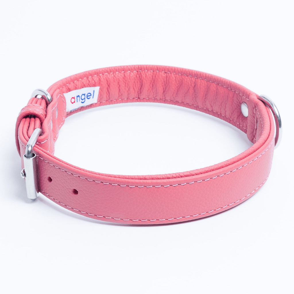 Glamorous Pups : Alpine Collar