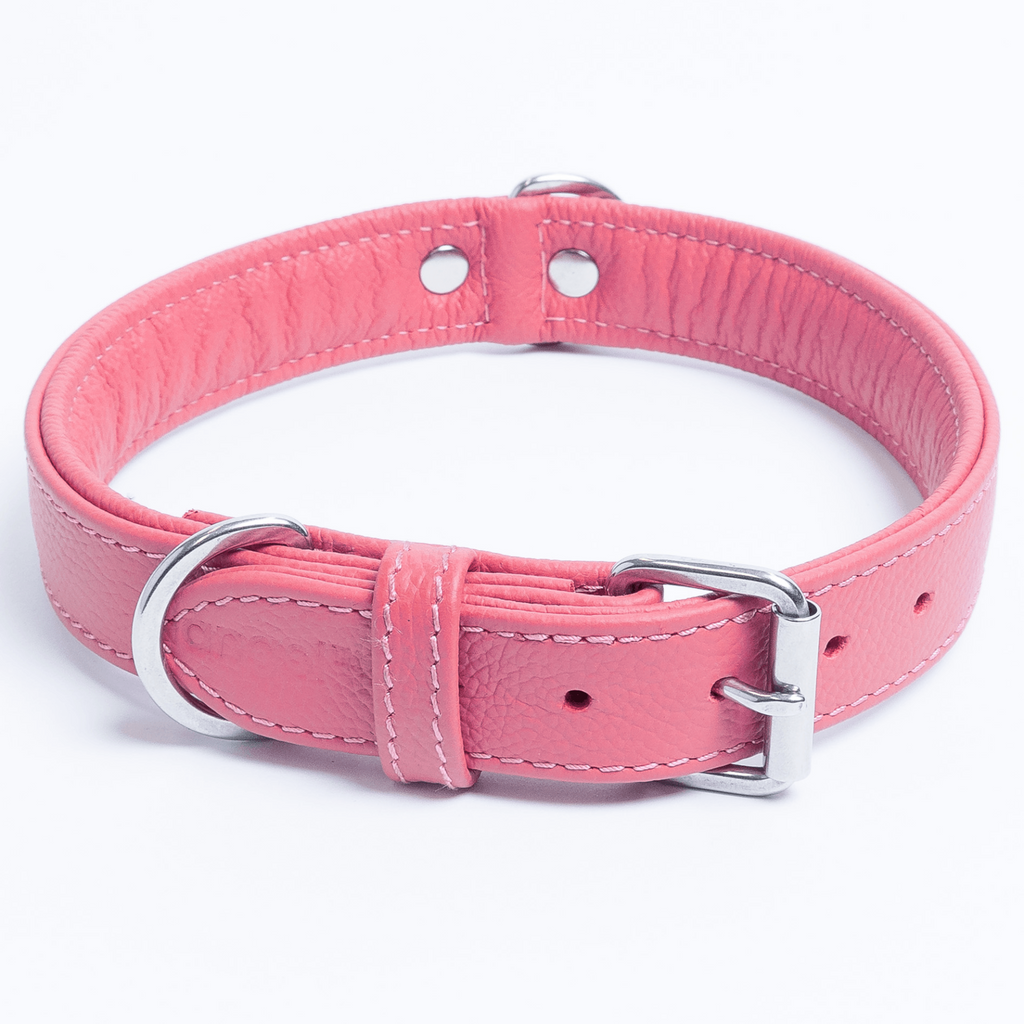 Glamorous Pups : Alpine Collar
