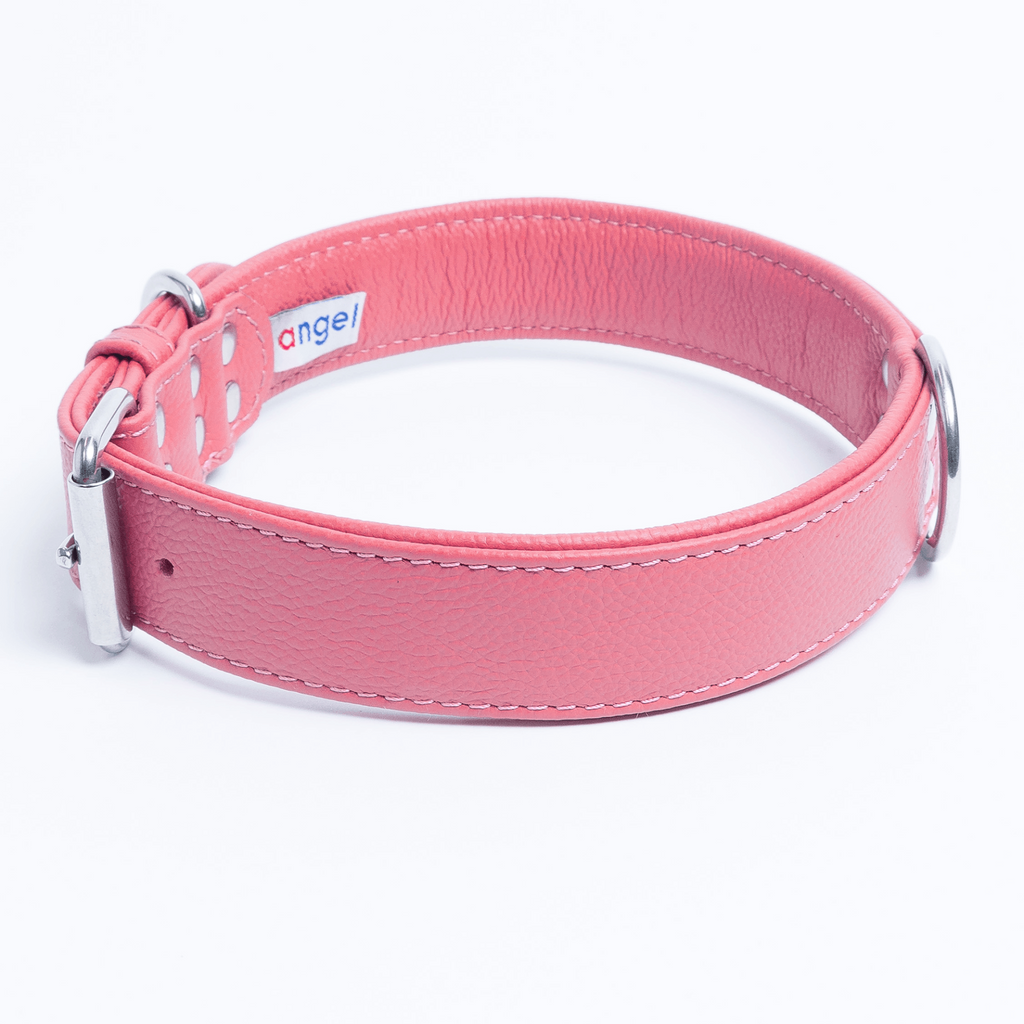 Glamorous Pups : Alpine Collar