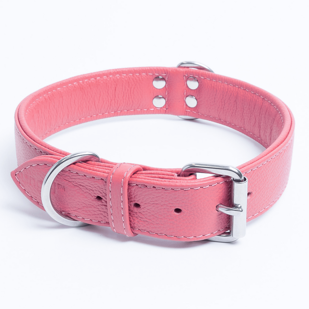 Glamorous Pups : Alpine Collar