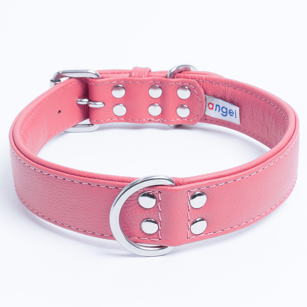 Glamorous Pups : Alpine Collar