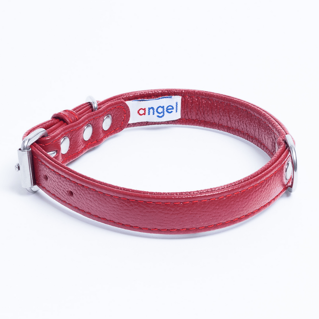 Glamorous Pups : Alpine Collar