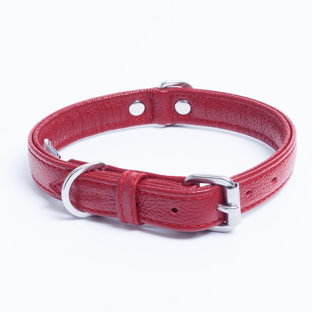 Glamorous Pups : Alpine Collar