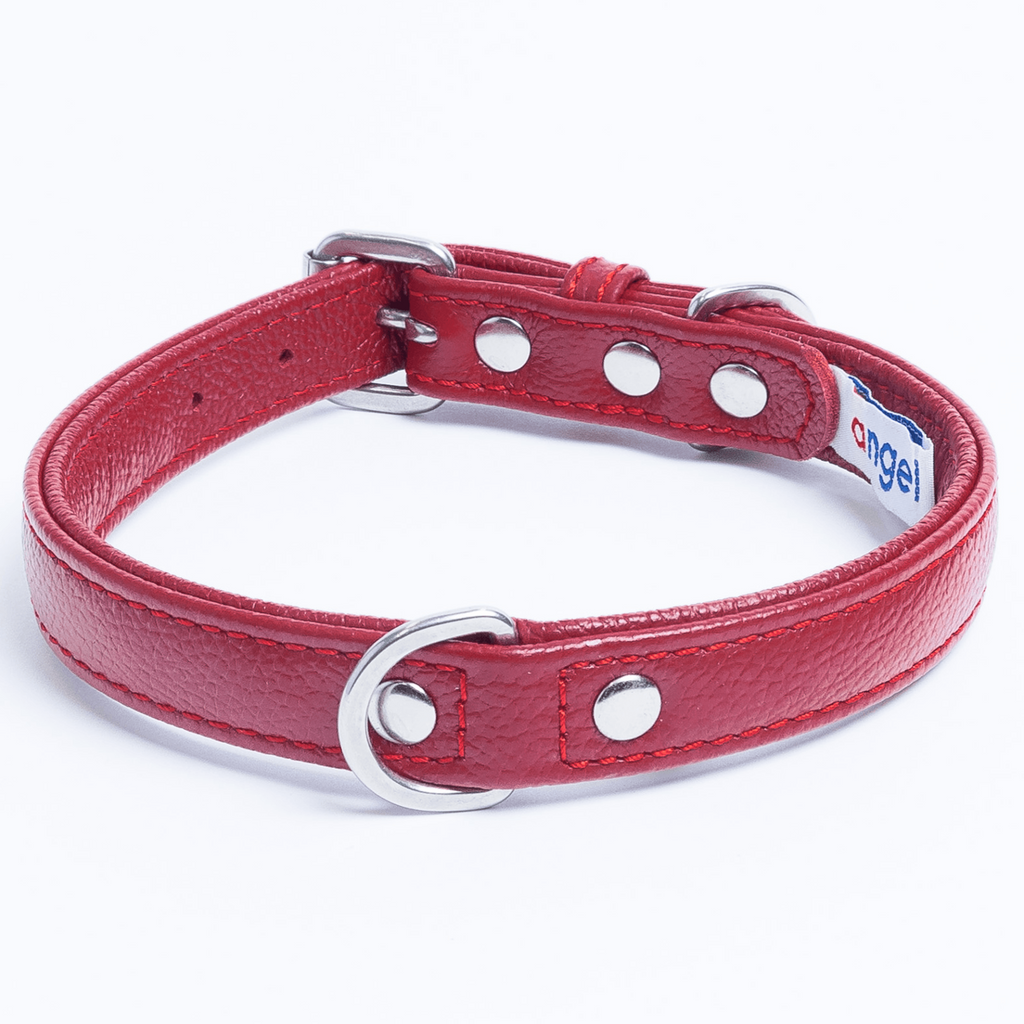 Glamorous Pups : Alpine Collar