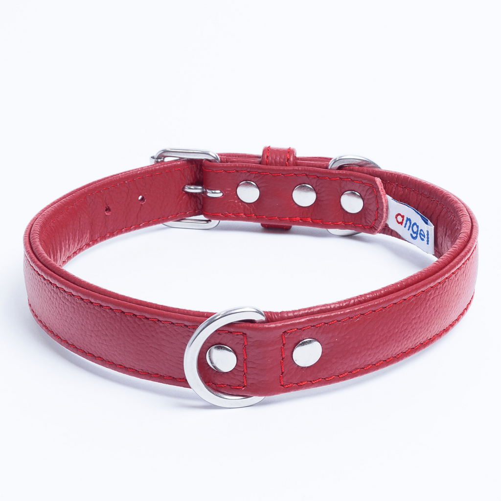 Glamorous Pups : Alpine Collar