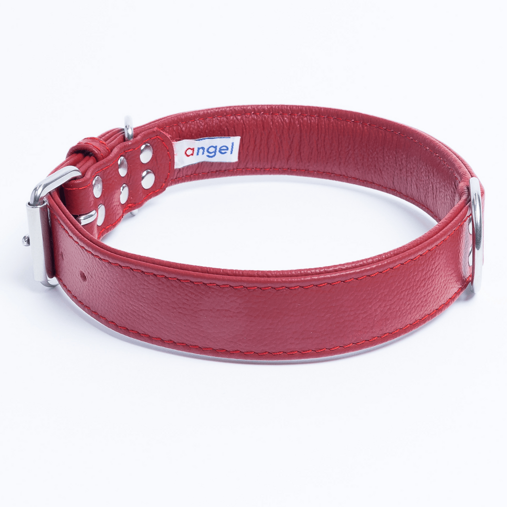 Glamorous Pups : Alpine Collar