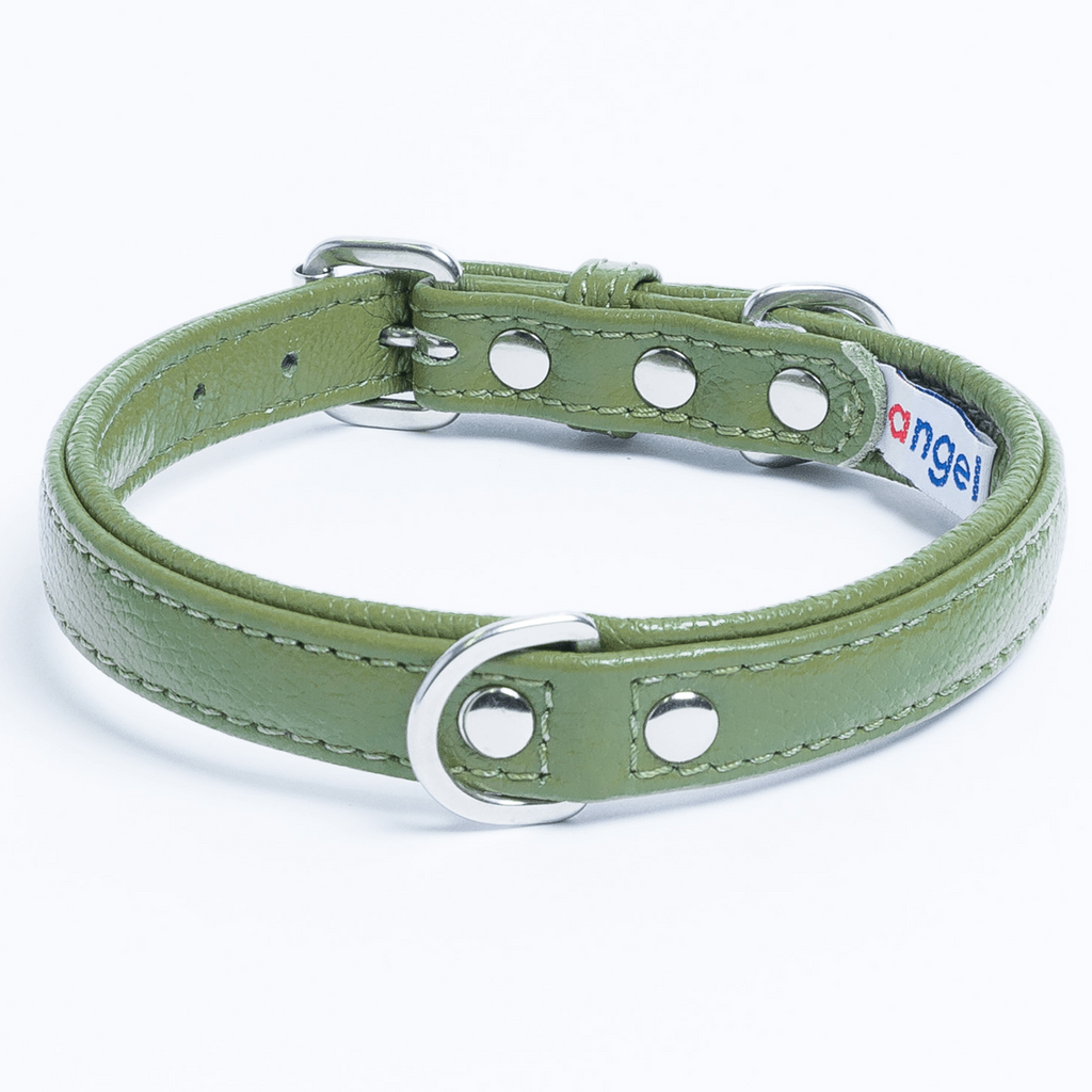 Glamorous Pups : Alpine Collar
