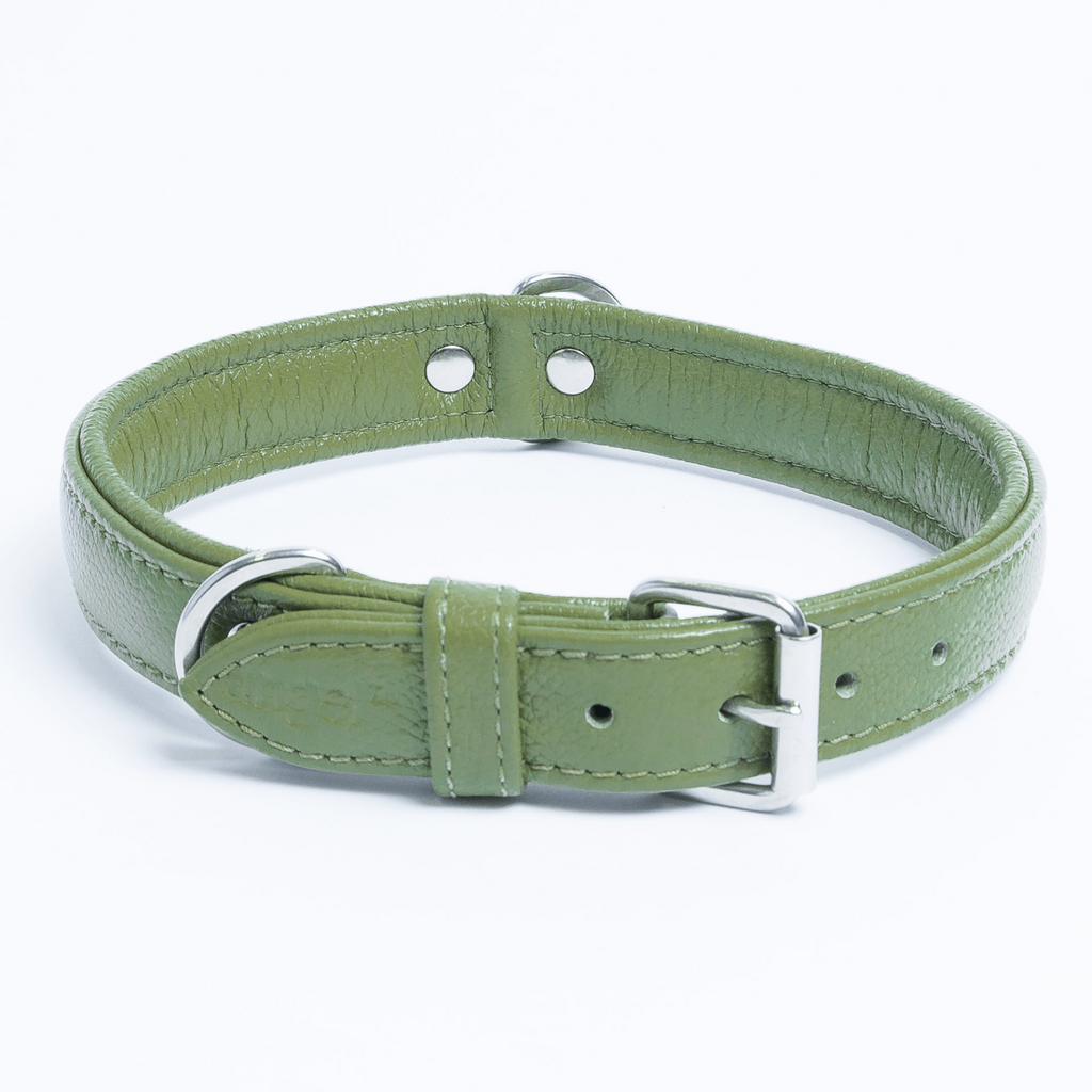 Glamorous Pups : Alpine Collar