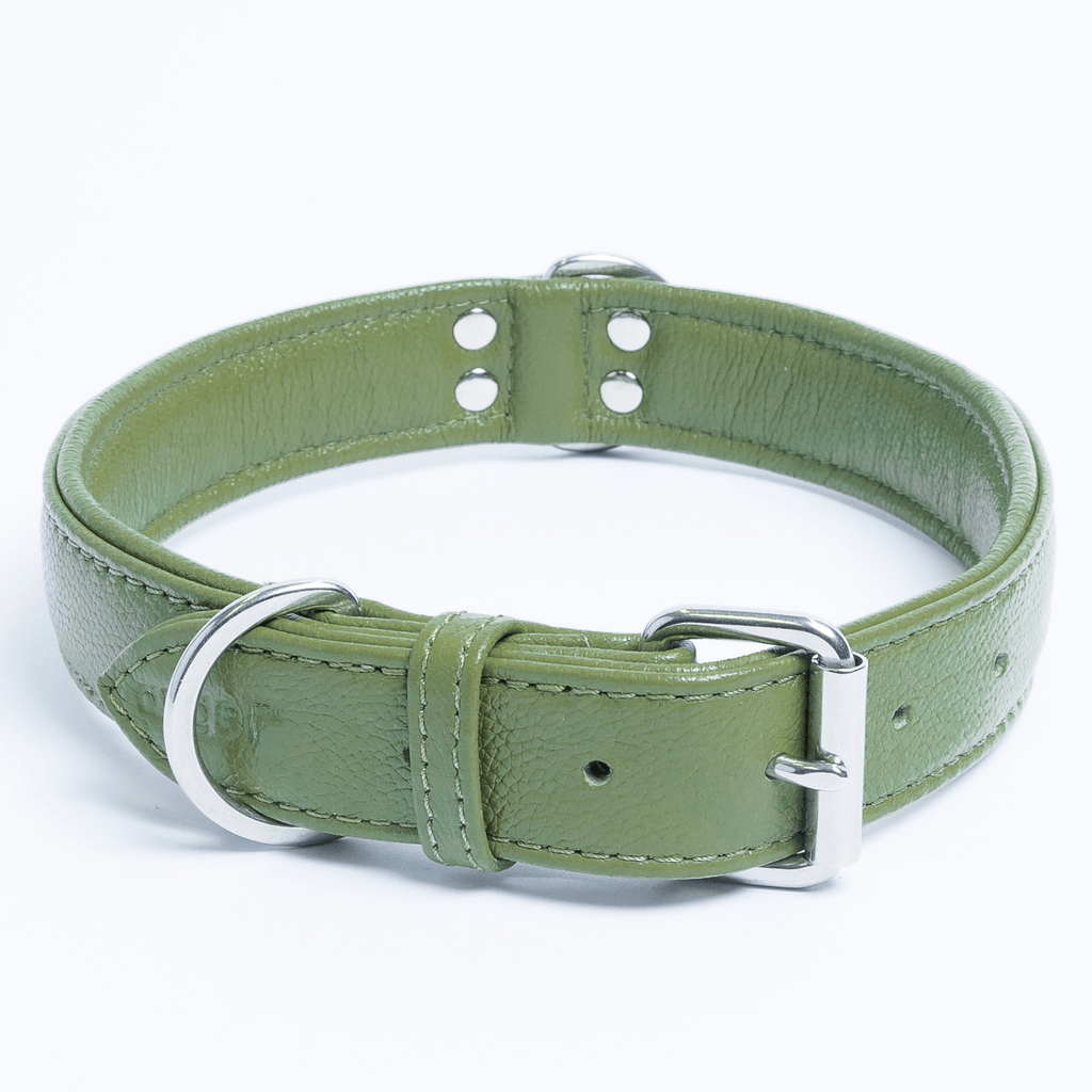 Glamorous Pups : Alpine Collar