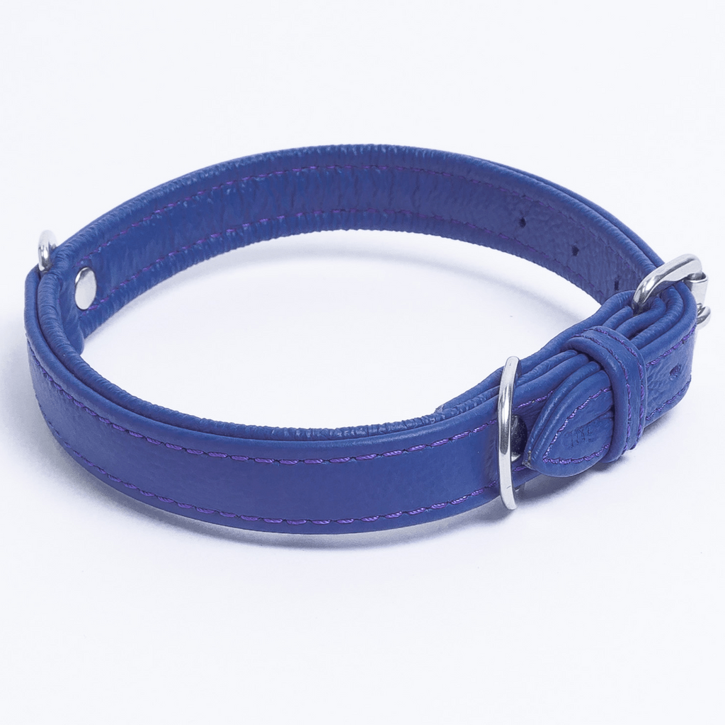 Glamorous Pups : Alpine Collar