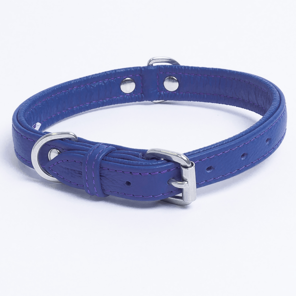 Glamorous Pups : Alpine Collar