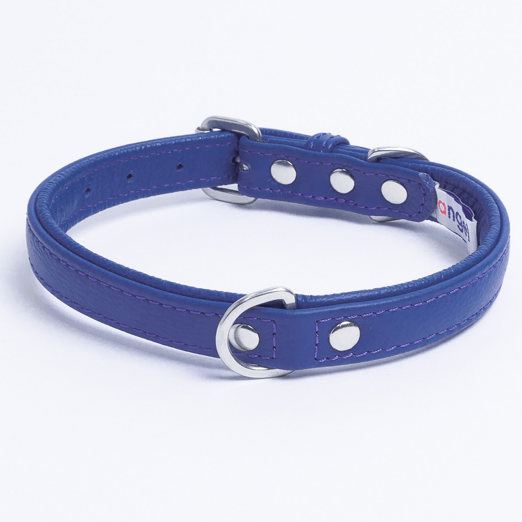 Glamorous Pups : Alpine Collar